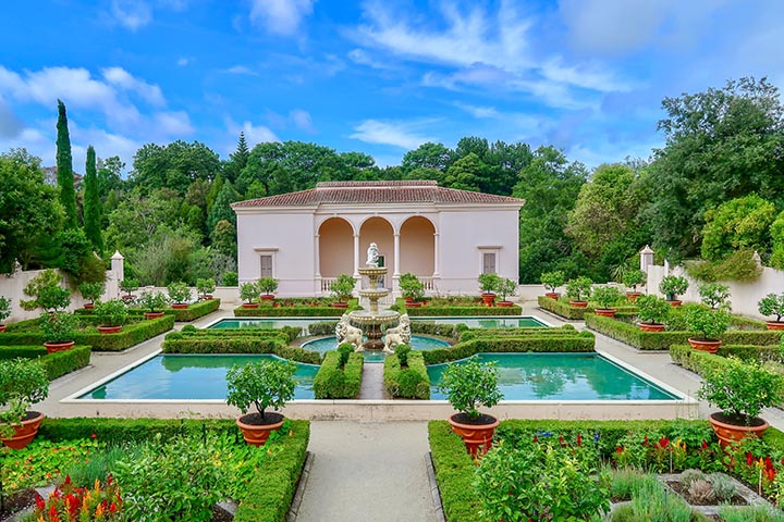 aesthetic garden